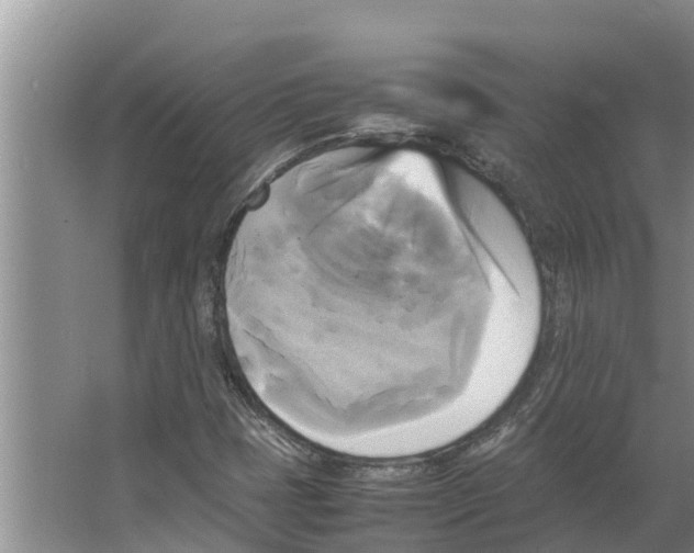 X0000066521401200604141802