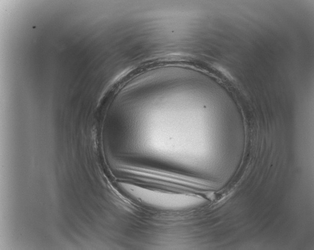 X0000066521402200604141802