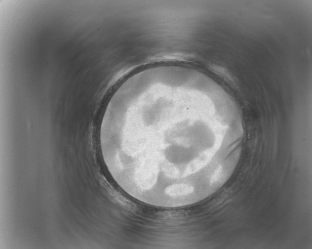 X0000066521404200604141802