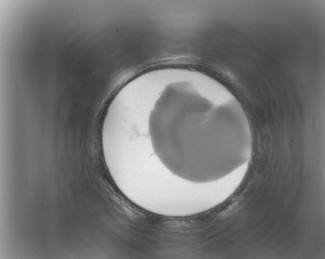 X0000066521405200604141802