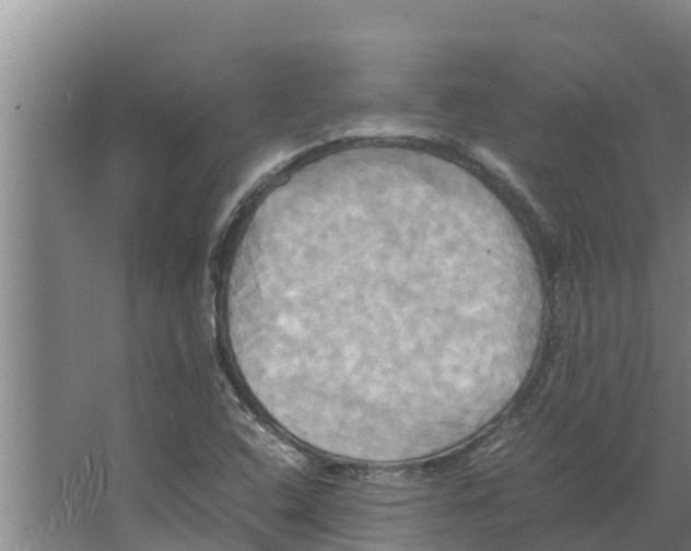 X0000066521408200604141802