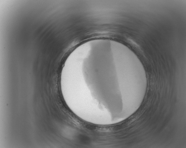 X0000066521411200604141802