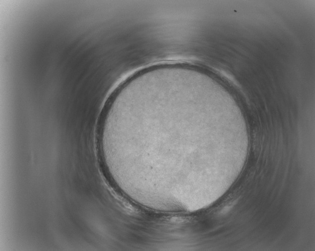 X0000066521412200604141802