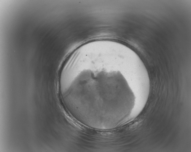 X0000066521413200604141802