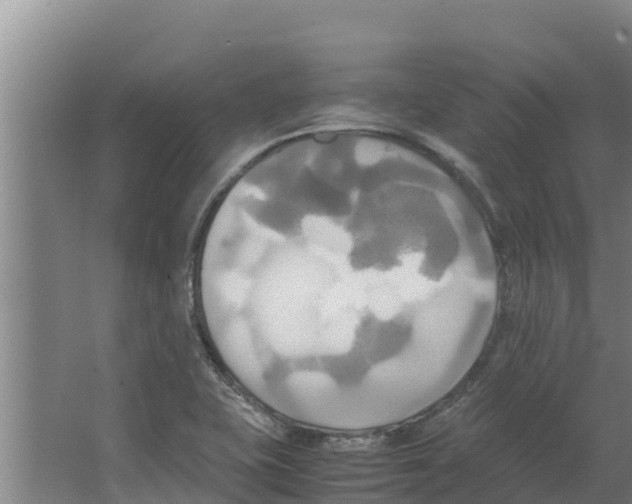 X0000066521415200604141802