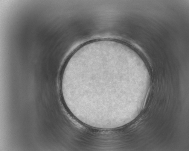 X0000066521416200604141802