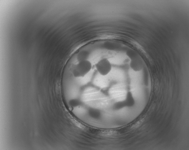 X0000066521417200604141802