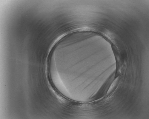 X0000066521418200604141802