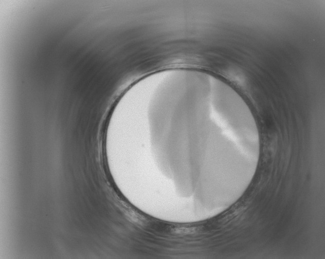 X0000066521419200604141802