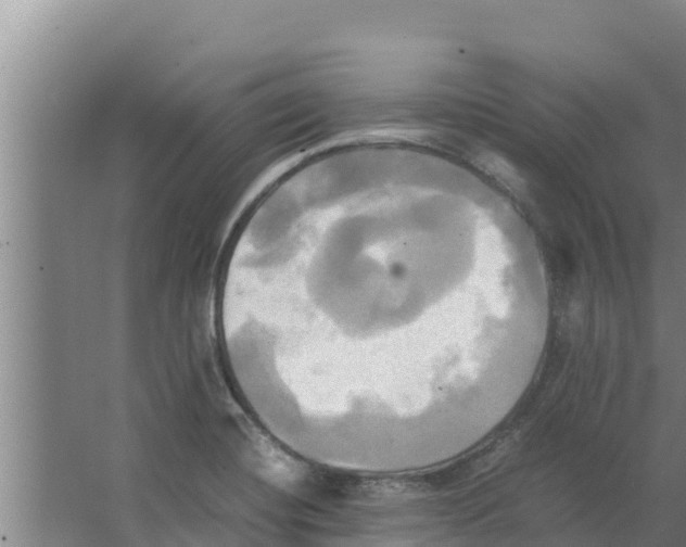 X0000066521420200604141802