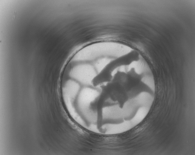 X0000066521421200604141802