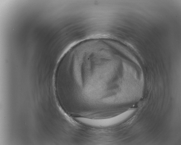 X0000066521422200604141802