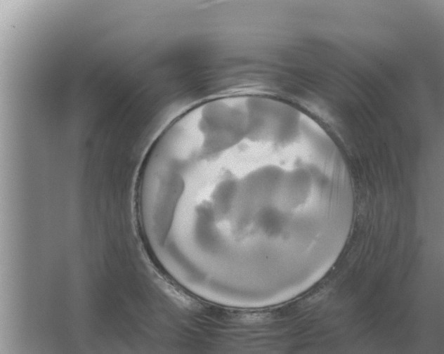 X0000066521423200604141802