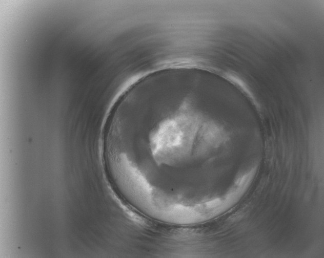 X0000066521424200604141802