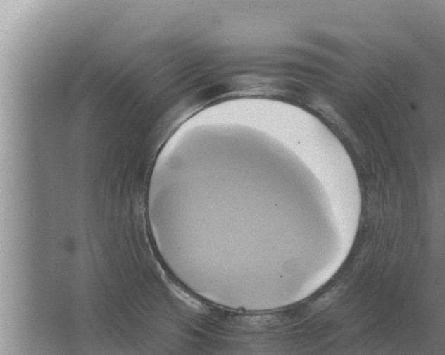 X0000066521425200604141802