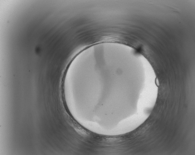 X0000066521427200604141802