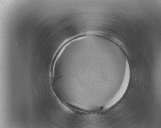 X0000066521428200604141802