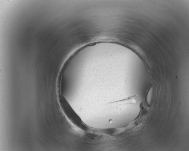 X0000066521430200604141802