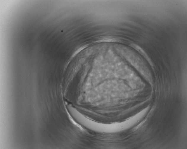 X0000066521433200604141802