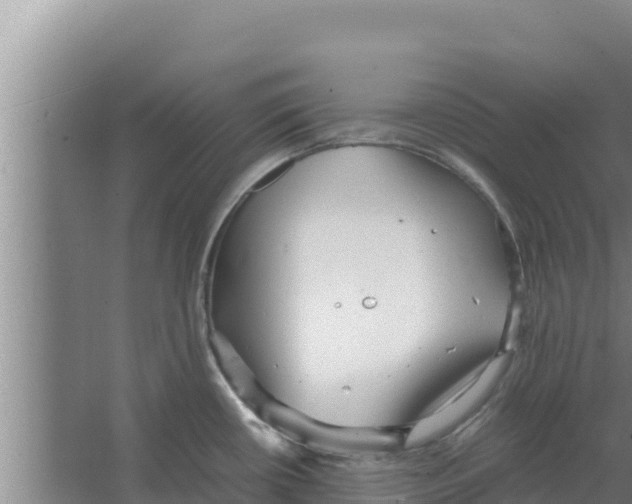 X0000066521434200604141802