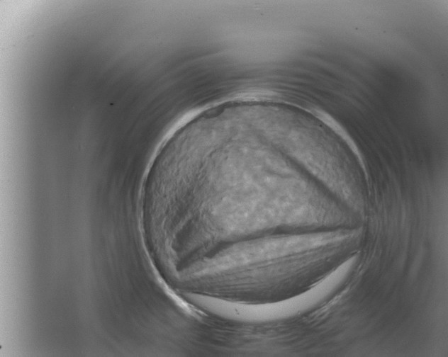 X0000066521437200604141802