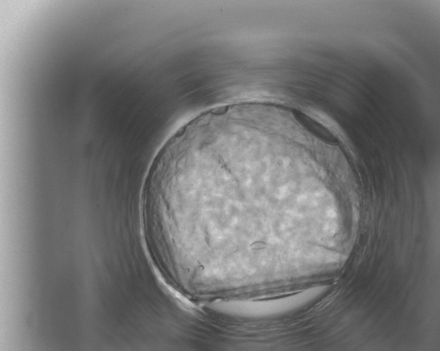 X0000066521439200604141802