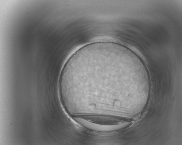 X0000066521440200604141802