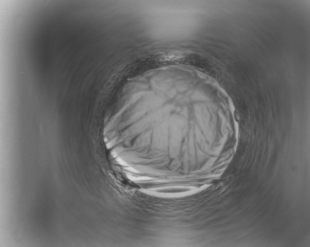 X0000066521441200604141802