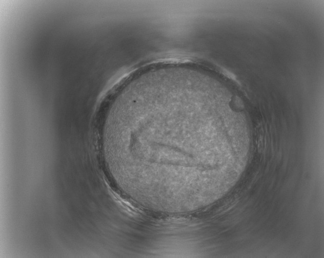 X0000066521448200604141801