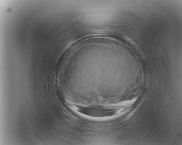 X0000066521449200604141801