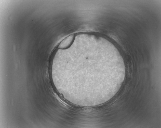 X0000066521452200604141801