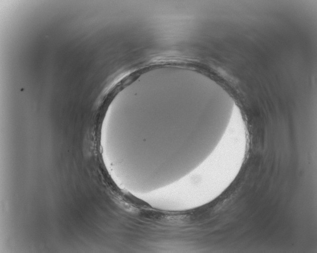 X0000066521453200604141801