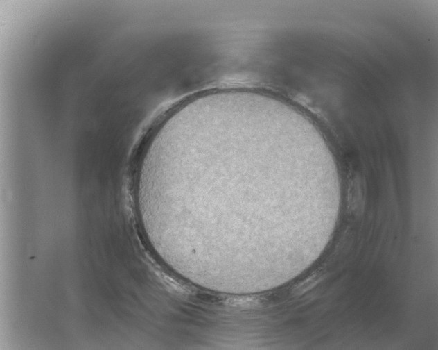 X0000066521454200604141801