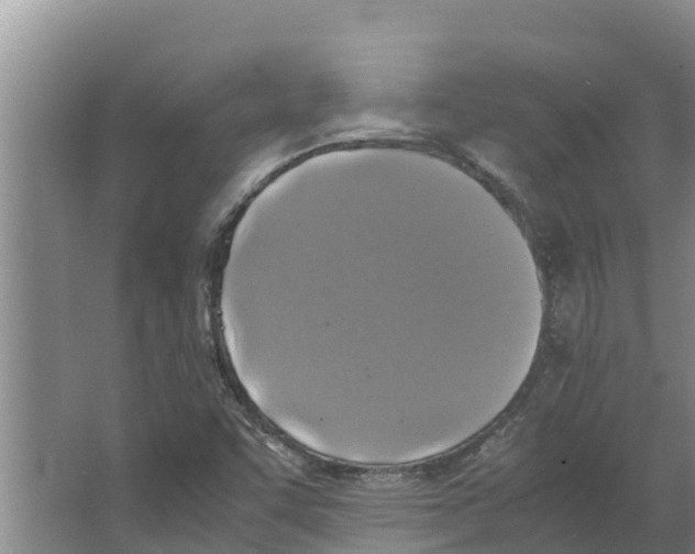 X0000066521455200604141801