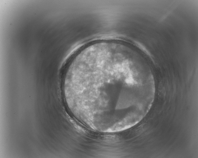 X0000066521456200604141801