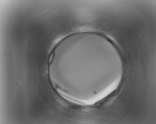 X0000066521461200604141801