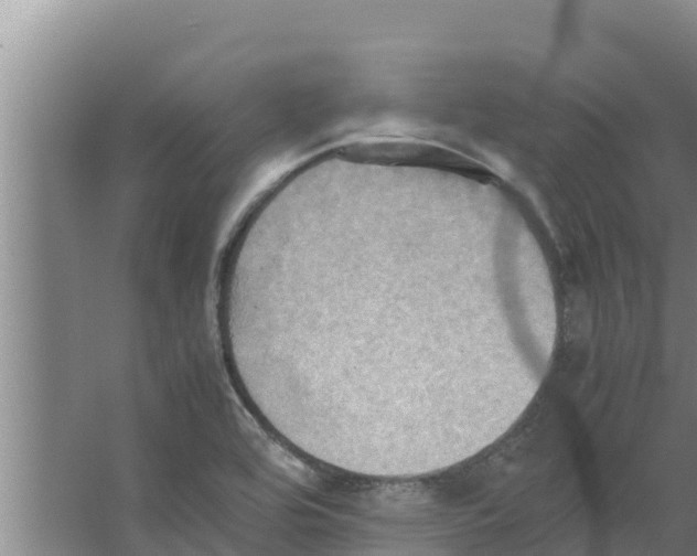 X0000066521464200604141801