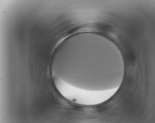 X0000066521465200604141801