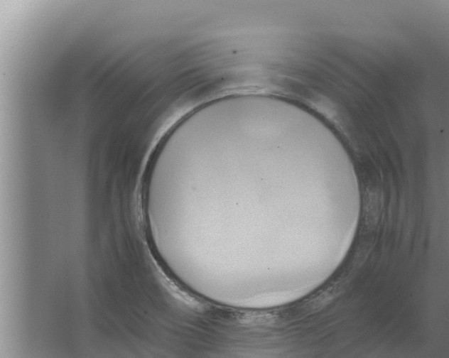 X0000066521466200604141801