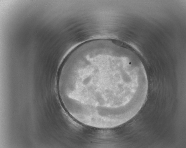 X0000066521468200604141801