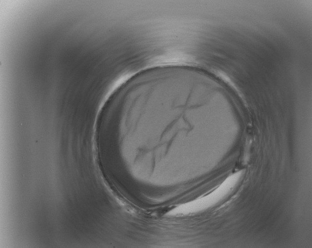 X0000066521469200604141801