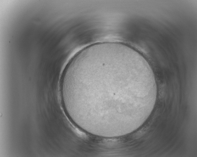 X0000066521470200604141801