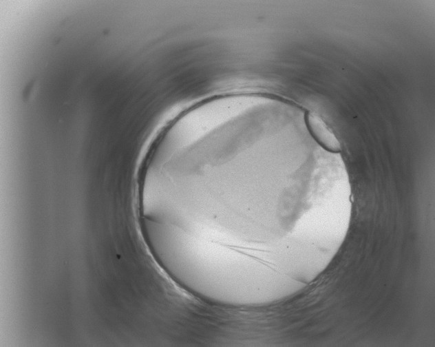 X0000066521472200604141801