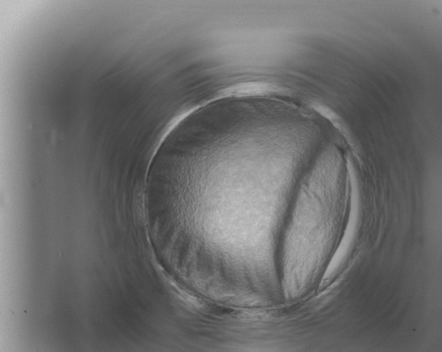 X0000066521473200604141801