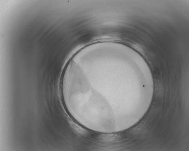 X0000066521474200604141801