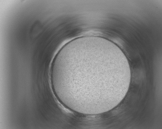 X0000066521478200604141801