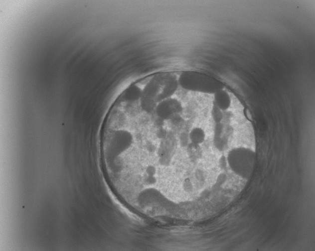 X0000066521479200604141801