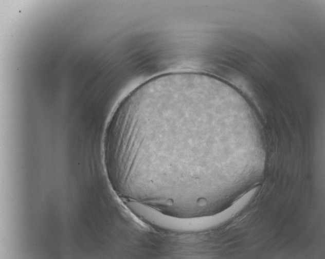 X0000066521480200604141801