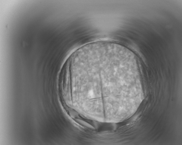 X0000066521483200604141801