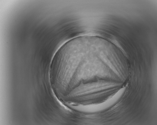 X0000066521484200604141801